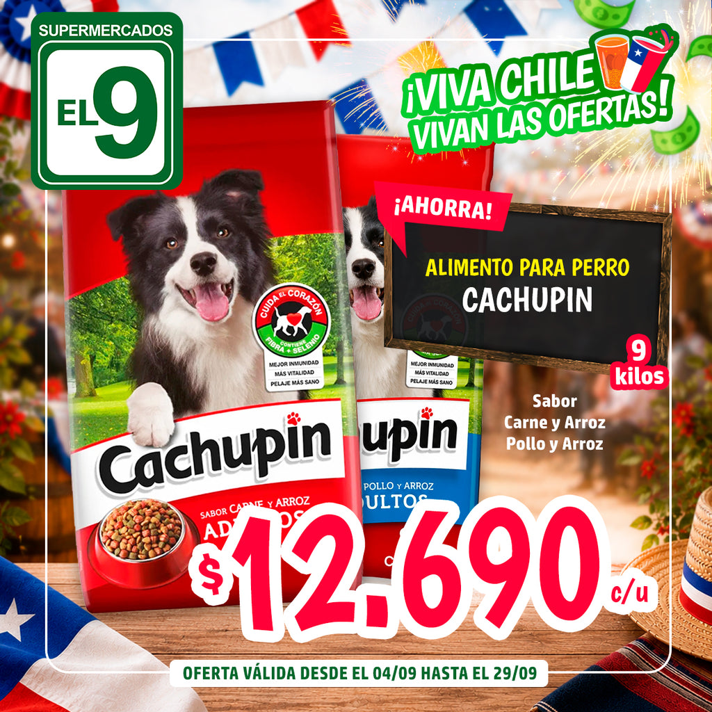 CACHUPIN ADULTO 9KG.CARNE ARROZ