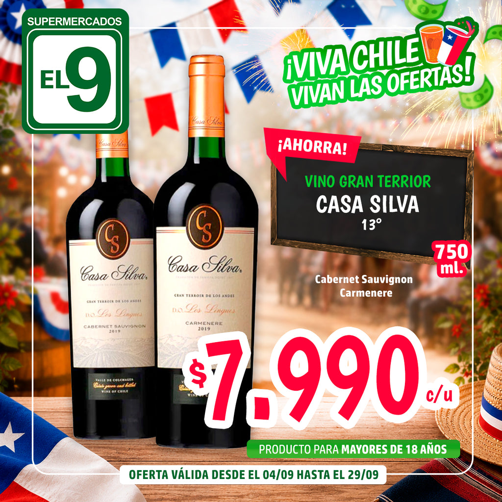VINO CASA SILVA C/SAUV GRAN TERROIR 13° 750ML
