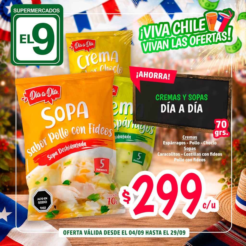 SOPA DIA A DIA COSTILLA CON FIDEOS S.DESH. 55 GR