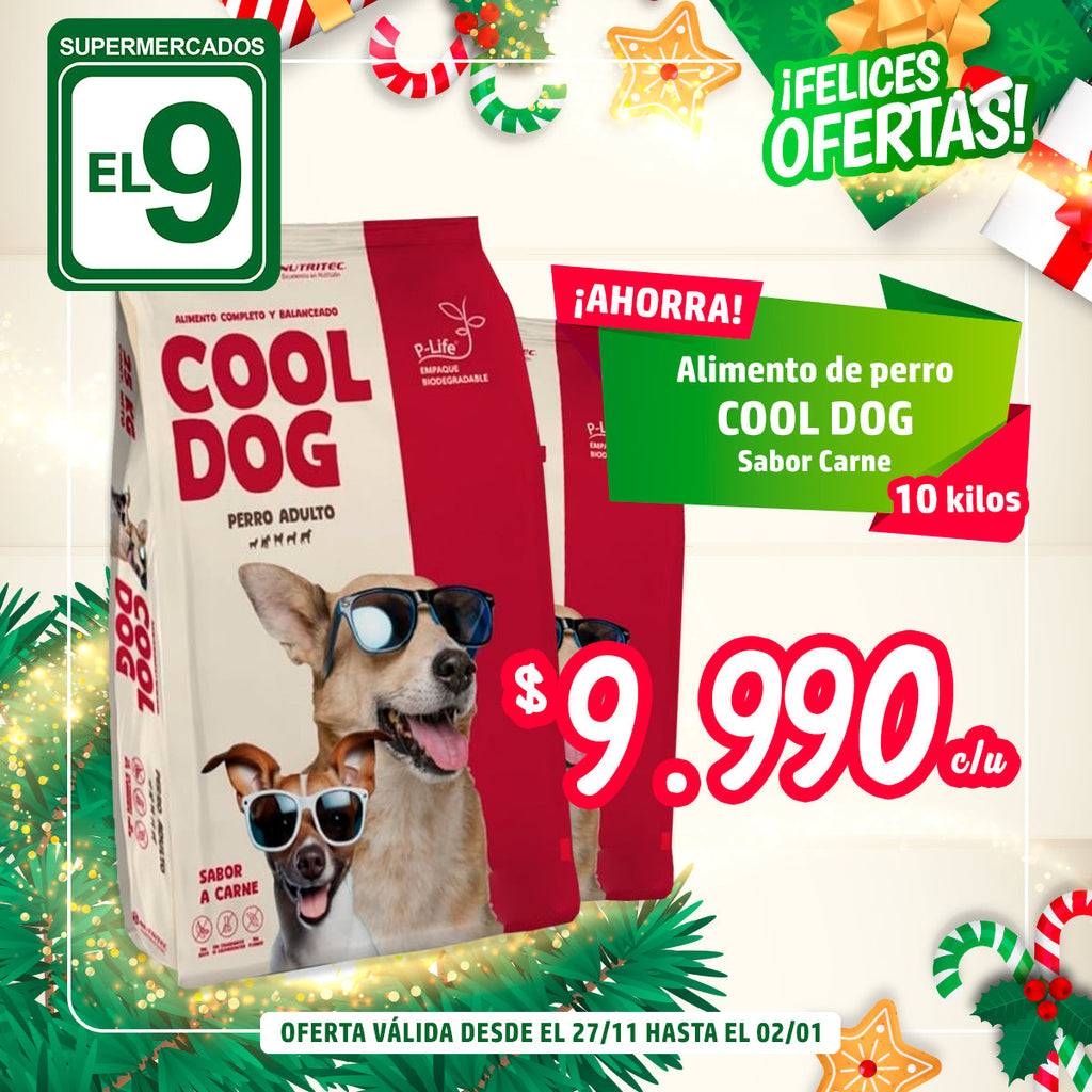 COOL DOG PERRO ADULTO CARNE 10 KG
