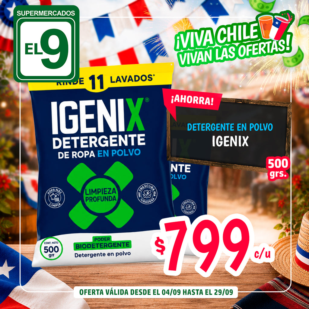 DETERGENTE EN POLVO IGENIX 500GR